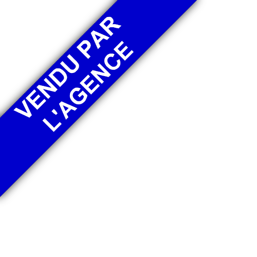 bandeau C&DP IMMOBILIER